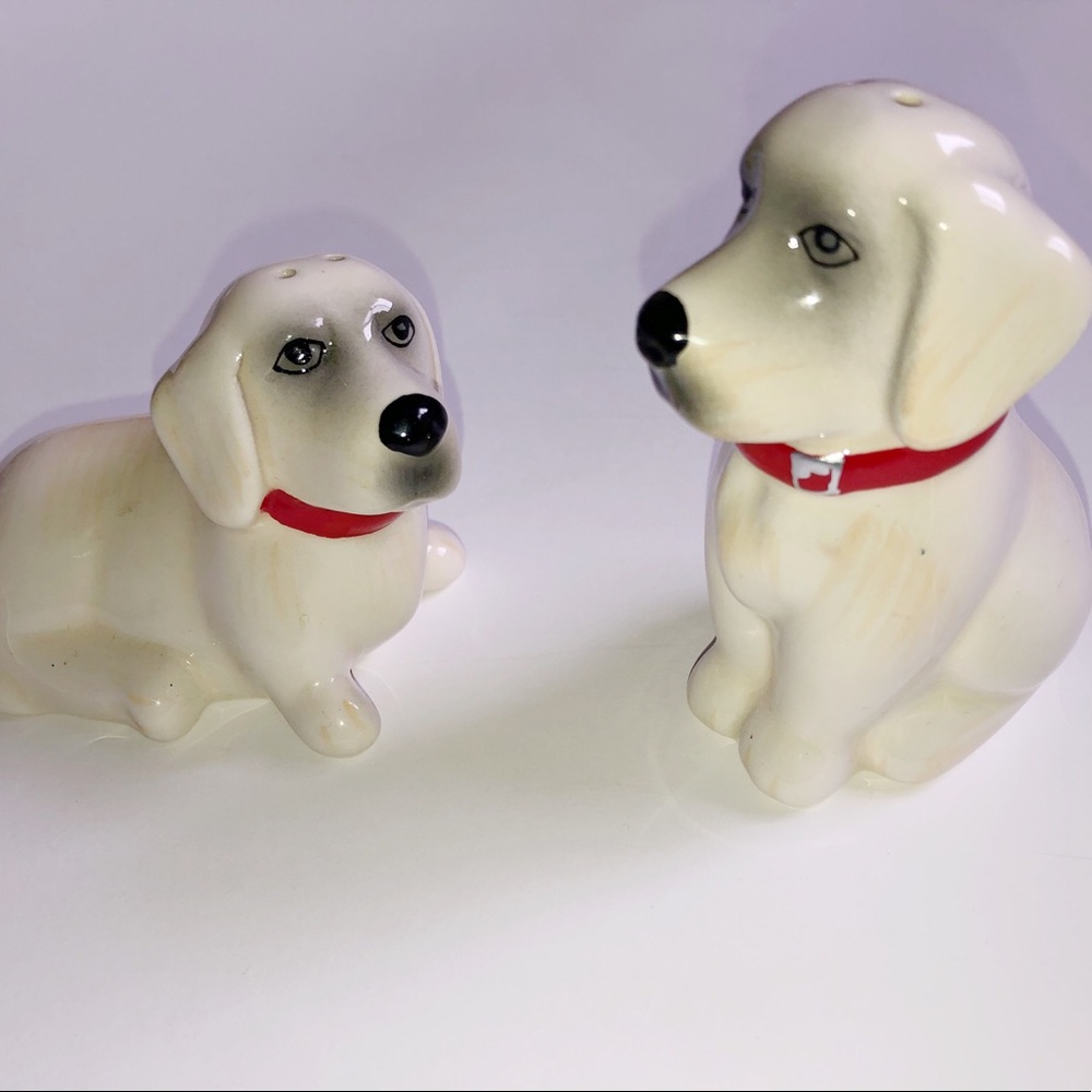 NWOB Ceramic Salt + Pepper shakers